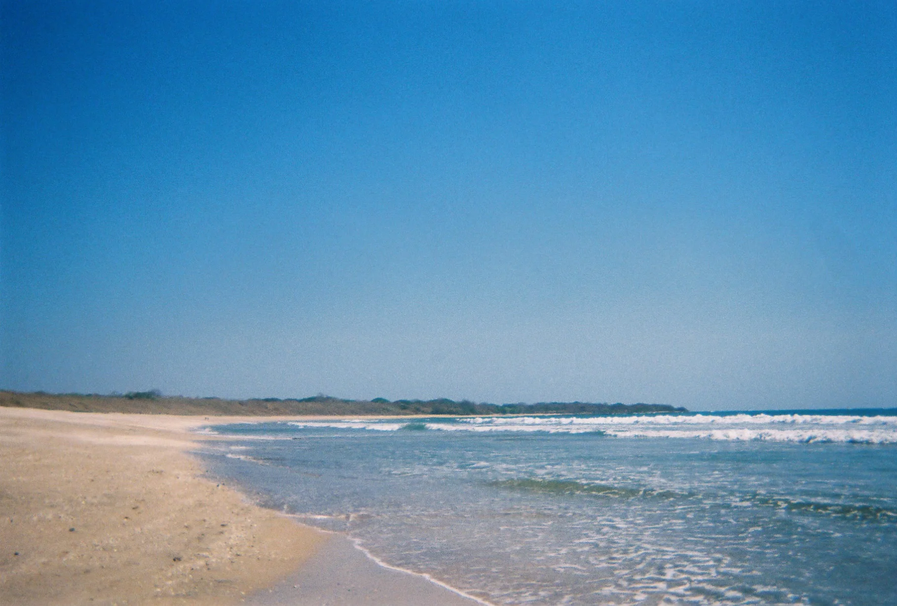 Owen Duffy Photography Project — Nature